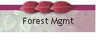 Forest Mgmt