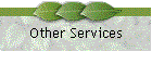 Other Services