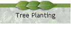 Tree Planting